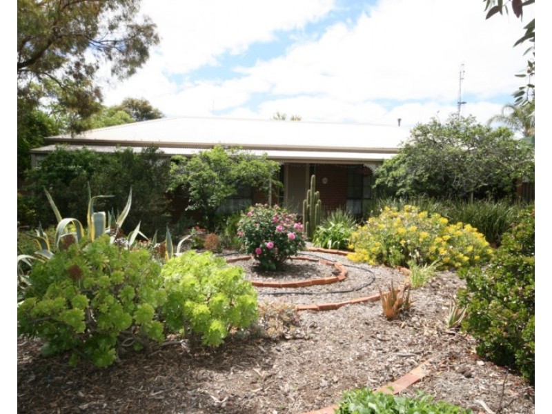 43 Francis Street, Rochester VIC 3561