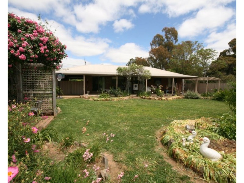 43 Francis Street, Rochester VIC 3561