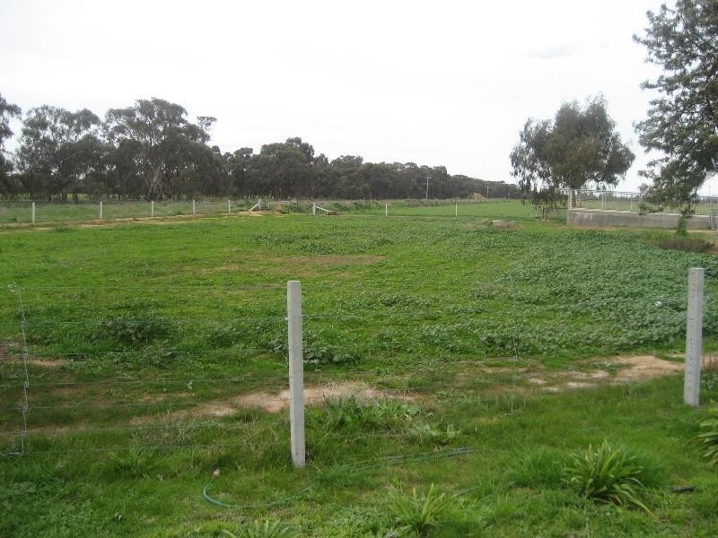 533 Dingee Road, Rochester VIC 3561