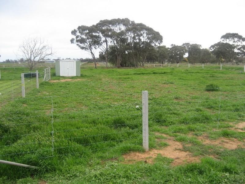 533 Dingee Road, Rochester VIC 3561
