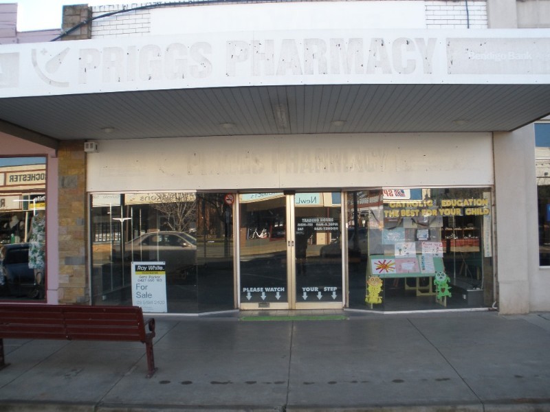 24 Gillies Street, Rochester VIC 3561