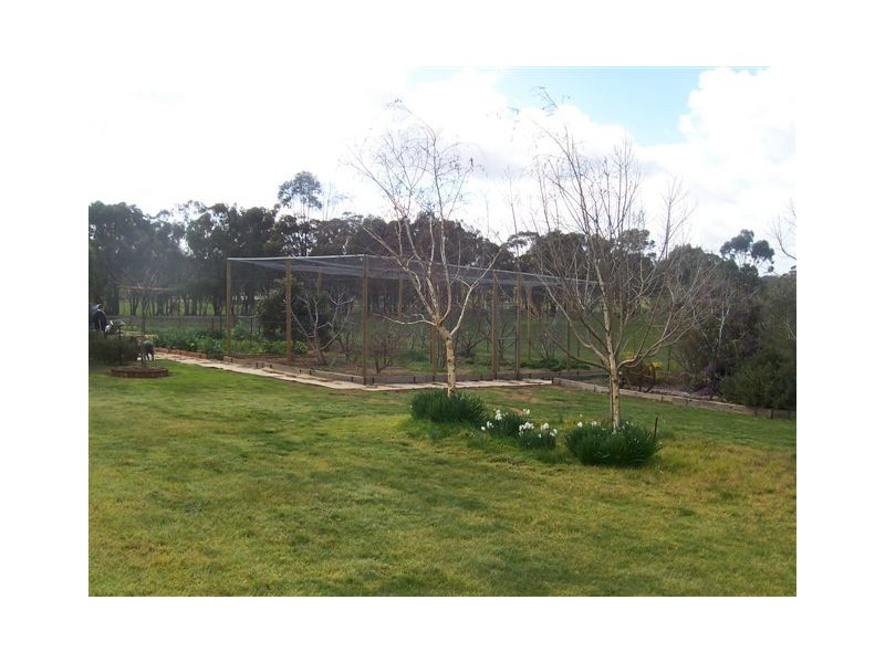 33 Park Street, St Arnaud VIC 3478