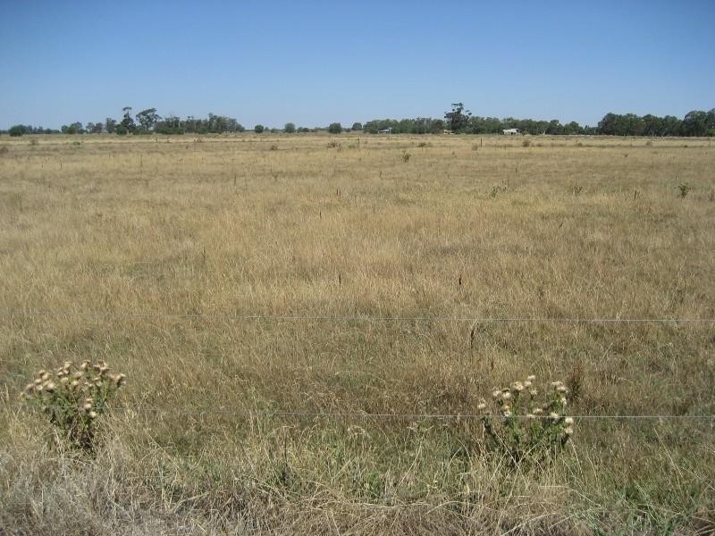 180 Tasker Road, Rochester VIC 3561