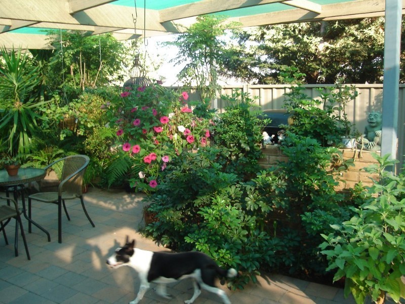 38 Fuller Avenue, Rochester VIC 3561