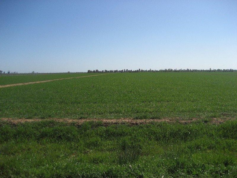 Lot 1 Restdown Road, Ballendella VIC 3561