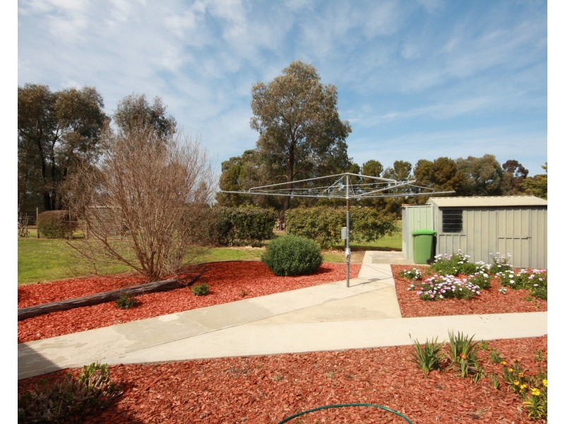 53 Pascoe Street, Rochester VIC 3561