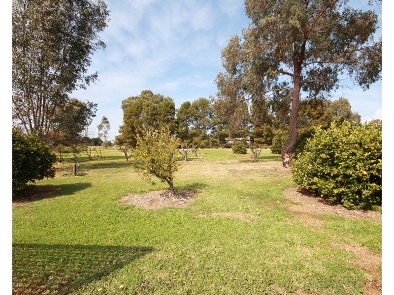 53 Pascoe Street, Rochester VIC 3561
