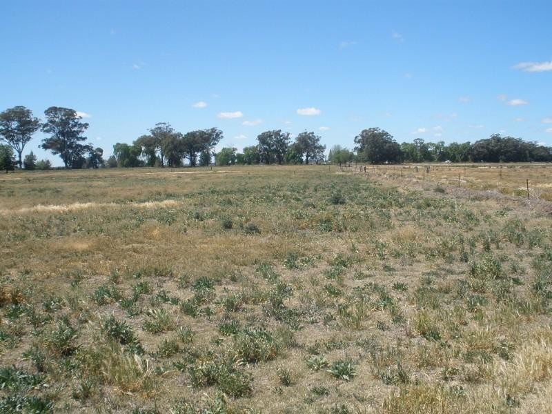 43 Murnane Lane, Ballendella VIC 3561