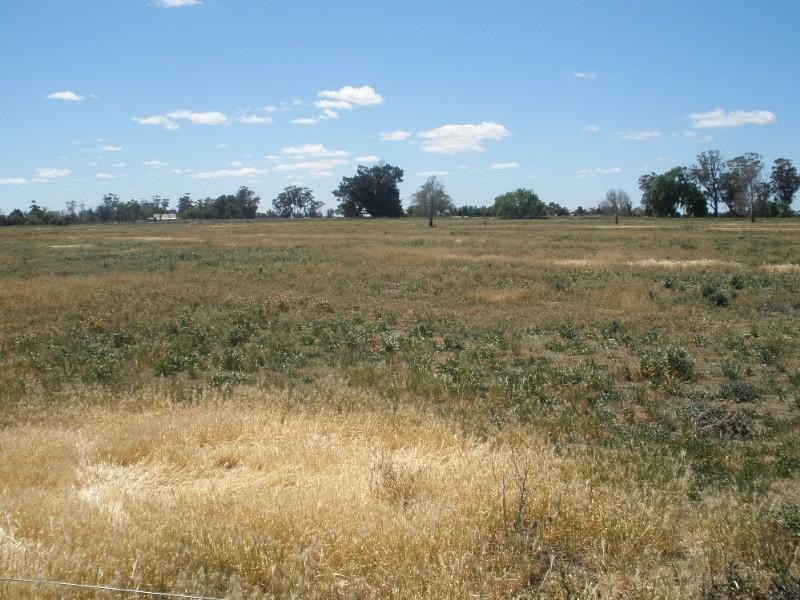 43 Murnane Lane, Ballendella VIC 3561