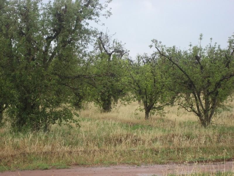 1770 Davies Road, Undera VIC 3629