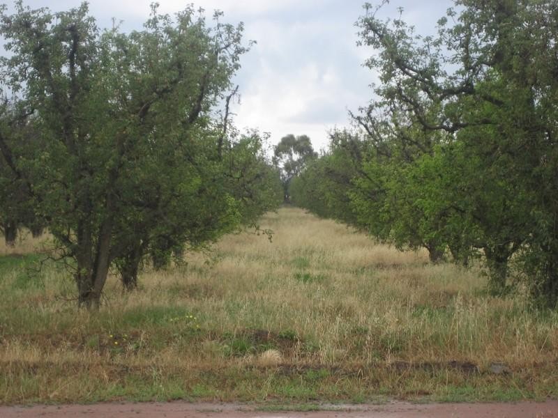 1770 Davies Road, Undera VIC 3629