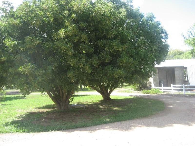 105 Trigger Lane, Rochester VIC 3561