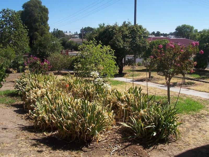 43 Millett Street, St Arnaud VIC 3478