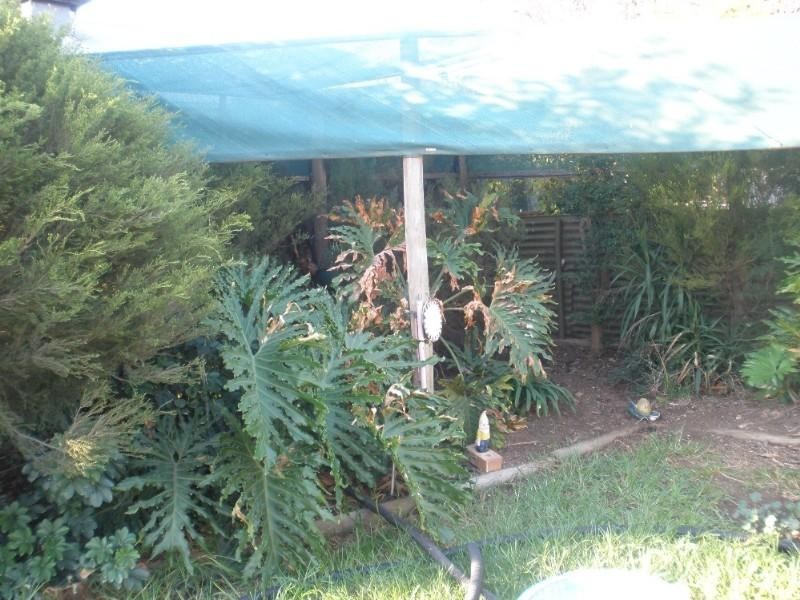 42 Lowry Street, Rochester VIC 3561