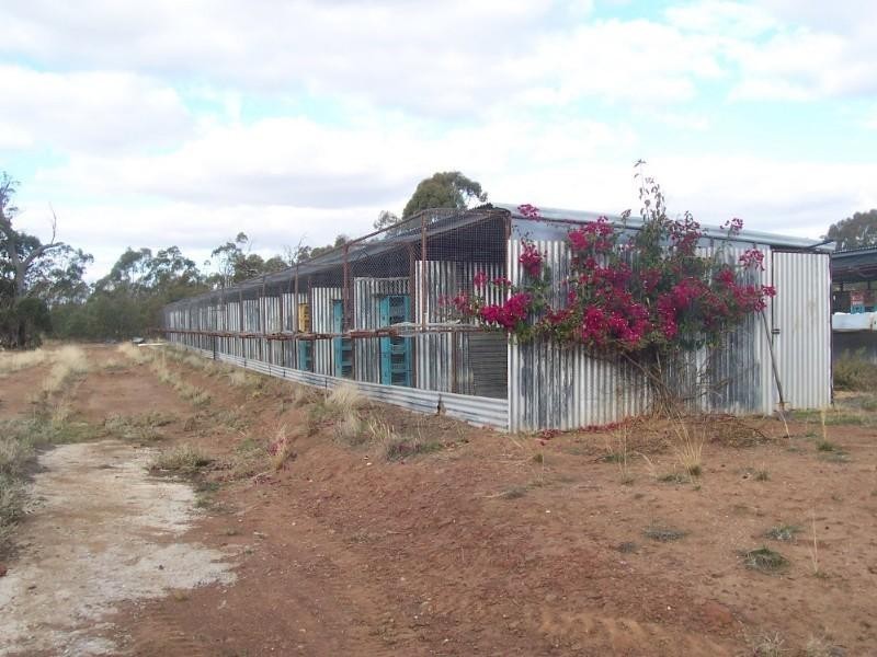 127 Rourke Road, St Arnaud VIC 3478