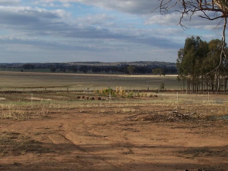 127 Rourke Road, St Arnaud VIC 3478