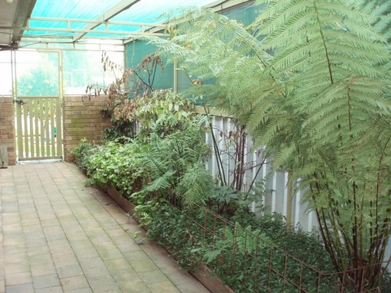5 Phillip Street, Rochester VIC 3561