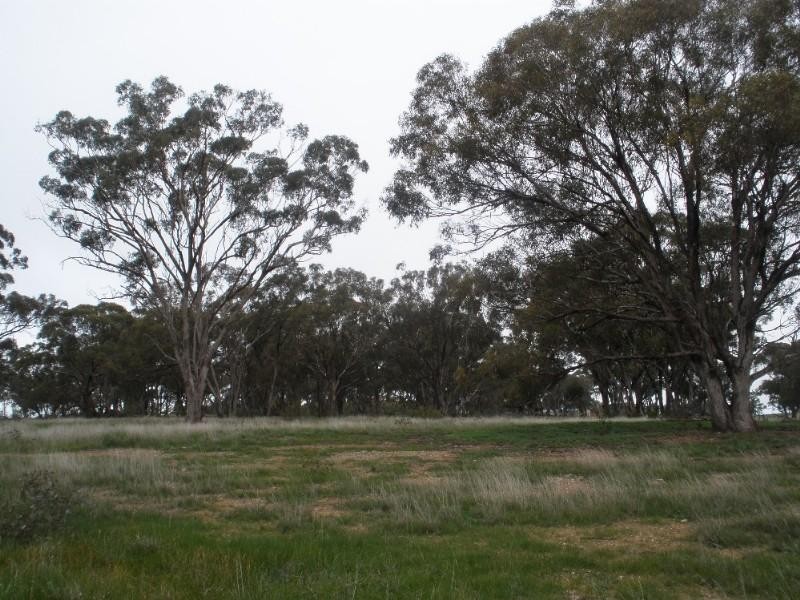 Lot 15 Heathcote-Rochester Road, Rochester VIC 3561