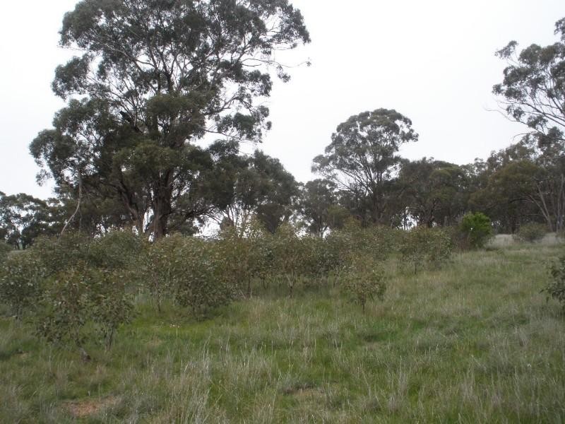 Lot 15 Heathcote-Rochester Road, Rochester VIC 3561