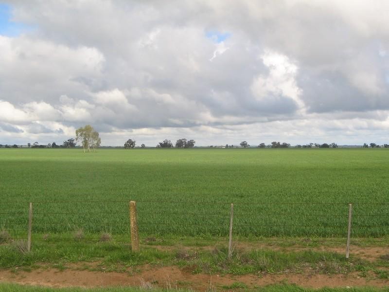0 Devon Park Road, Cope Cope VIC 3480