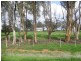 0 Devon Park Road, Cope Cope VIC 3480