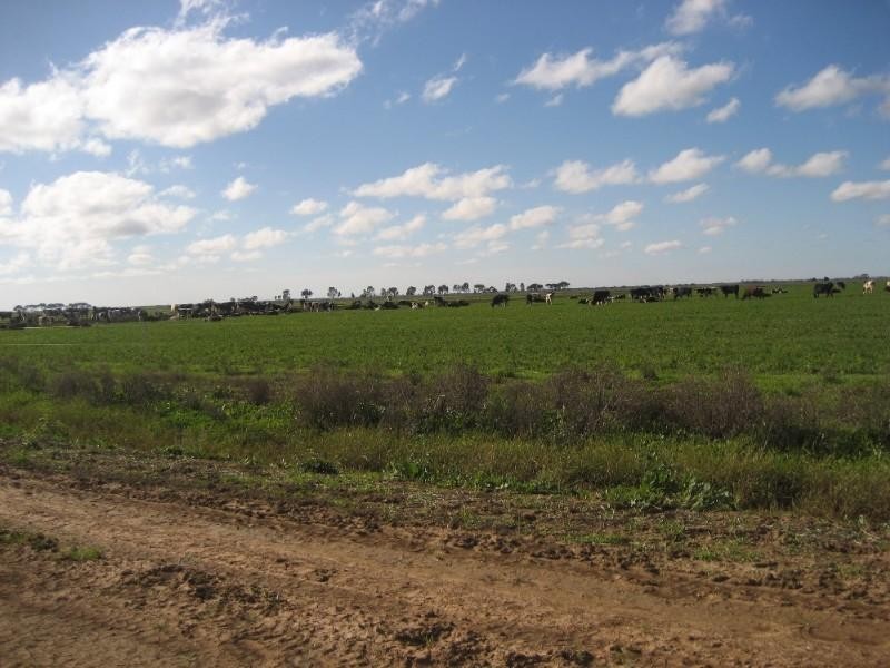 768 Lowe Road, Ballendella VIC 3561