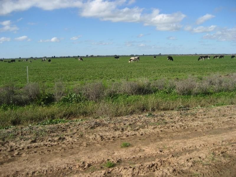 768 Lowe Road, Ballendella VIC 3561