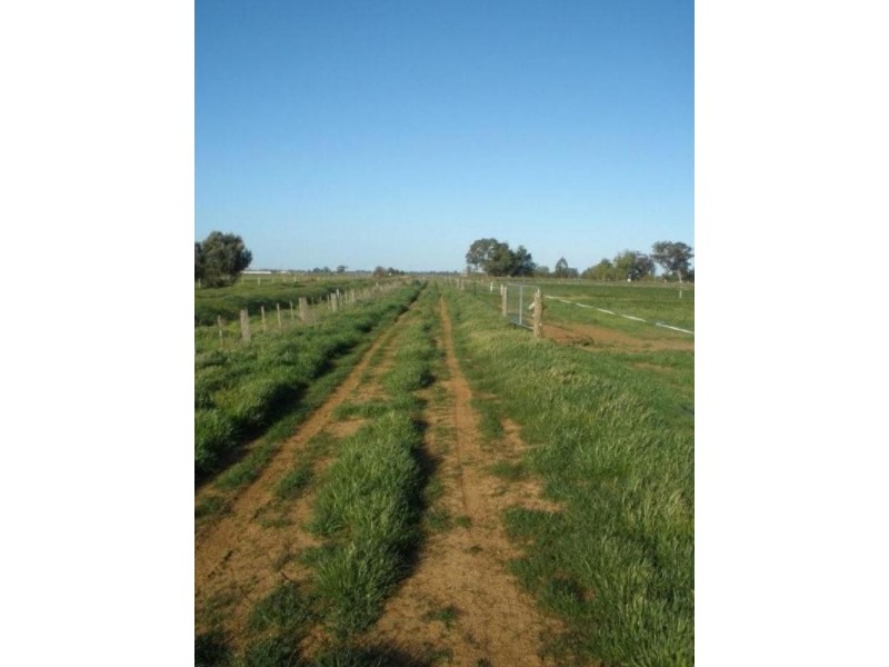 768 Lowe Road, Ballendella VIC 3561