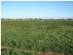 768 Lowe Road, Ballendella VIC 3561