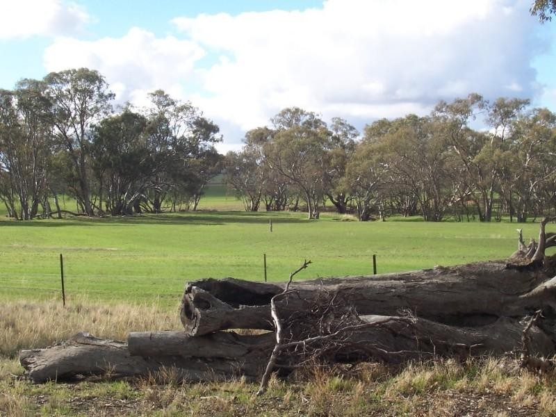 55 Wiggins Road, Emu VIC 3475