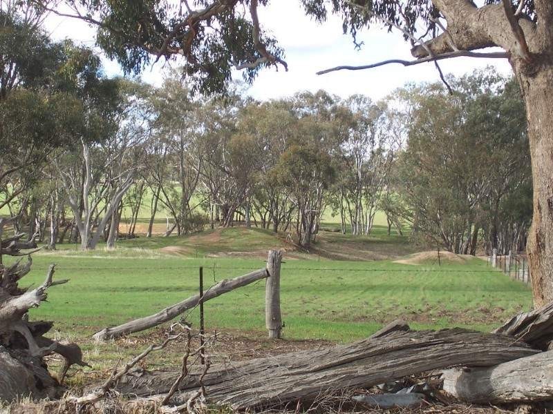 55 Wiggins Road, Emu VIC 3475