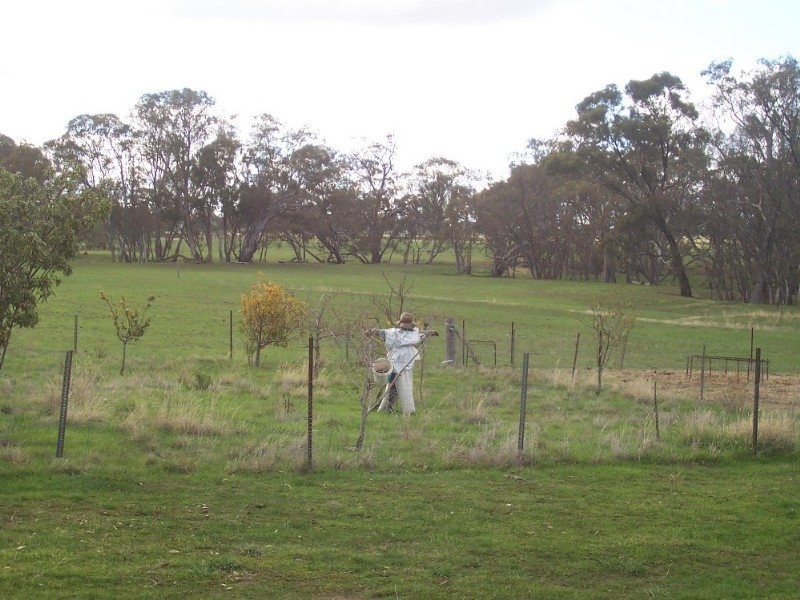 55 Wiggins Road, Emu VIC 3475