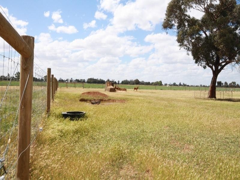 1334 Singer Road, Lockington VIC 3563