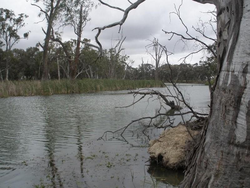 00 Block 2 Island Road, Cohuna VIC 3568