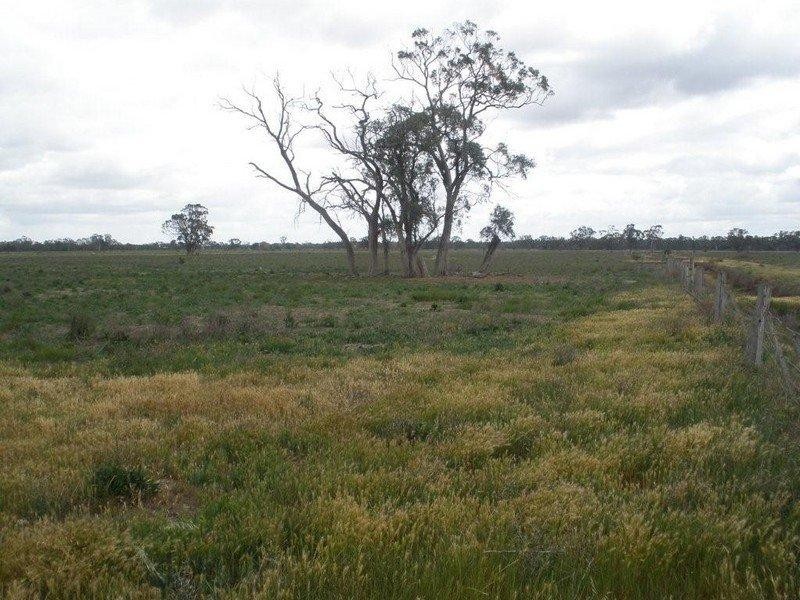 00 Block 2 Island Road, Cohuna VIC 3568