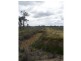 00 Block 2 Island Road, Cohuna VIC 3568