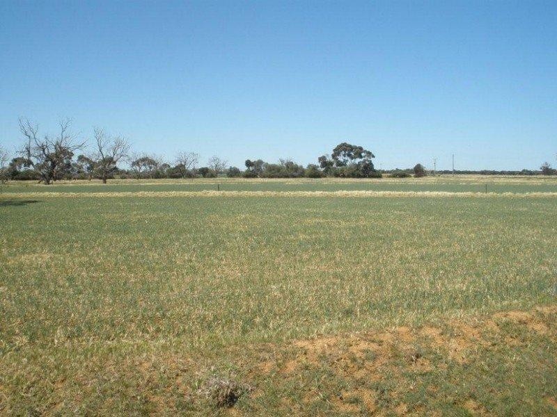 380 Diggora Road, Rochester VIC 3561