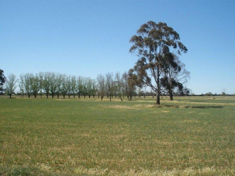 380 Diggora Road, Rochester VIC 3561