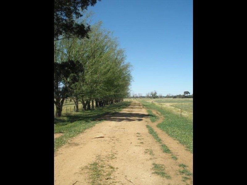 380 Diggora Road, Rochester VIC 3561