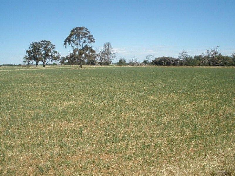 380 Diggora Road, Rochester VIC 3561