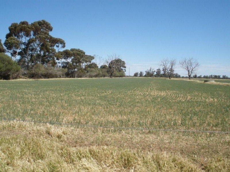 380 Diggora Road, Rochester VIC 3561