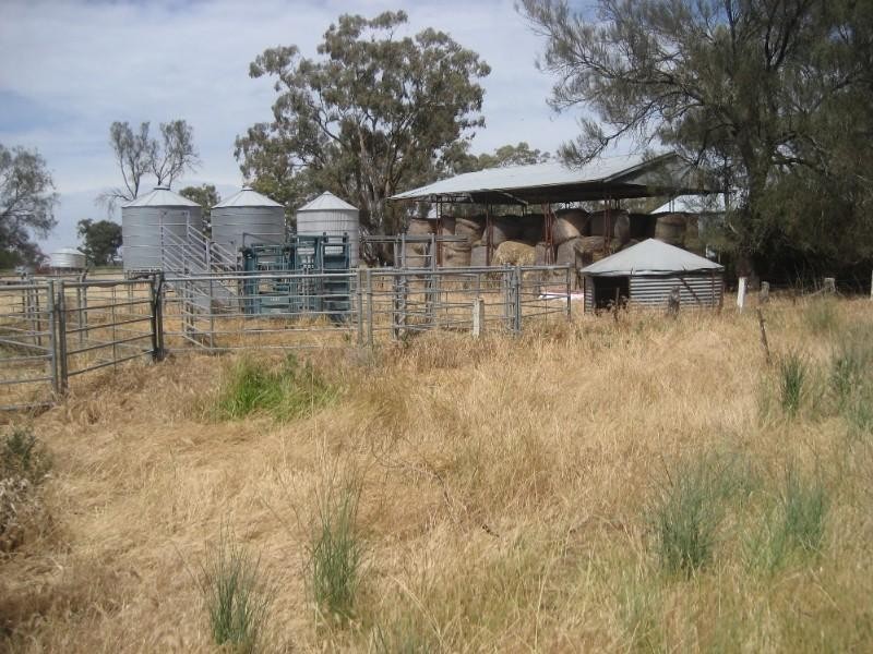 61 Rays Road, Calivil VIC 3573