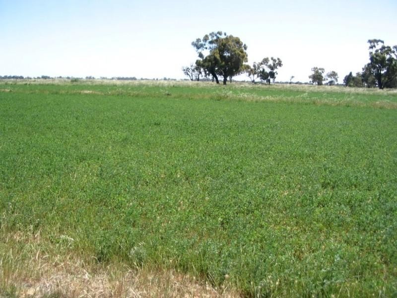 0 Lowrie Road, Bamawm VIC 3561