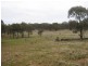 Lot 1 Dip Lane, Wedderburn VIC 3518