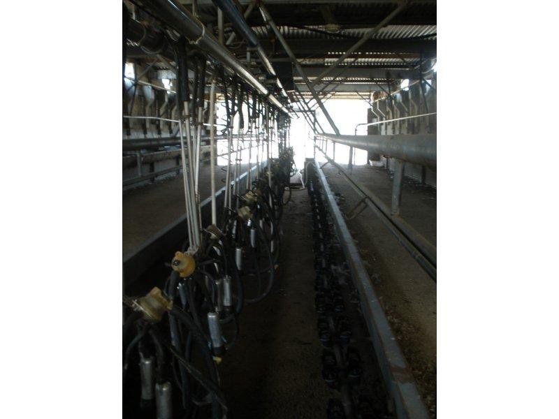 1670 Lowrie Road, Bamawm VIC 3561