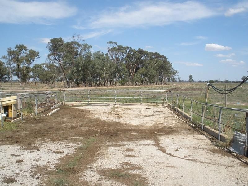 1670 Lowrie Road, Bamawm VIC 3561