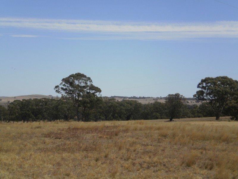 Lot 1 Old Wedderburn Road, Gowar East VIC 3478