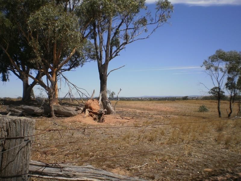 Lot 1 Old Wedderburn Road, Gowar East VIC 3478