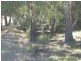 42A Shearing Shed Road, Carapooee VIC 3478