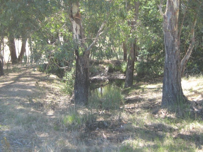 42A Shearing Shed Road, Carapooee VIC 3478